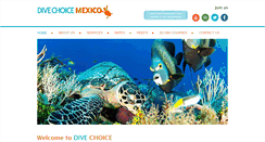 Desktop Screenshot of divechoicecozumel.com