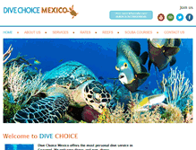 Tablet Screenshot of divechoicecozumel.com